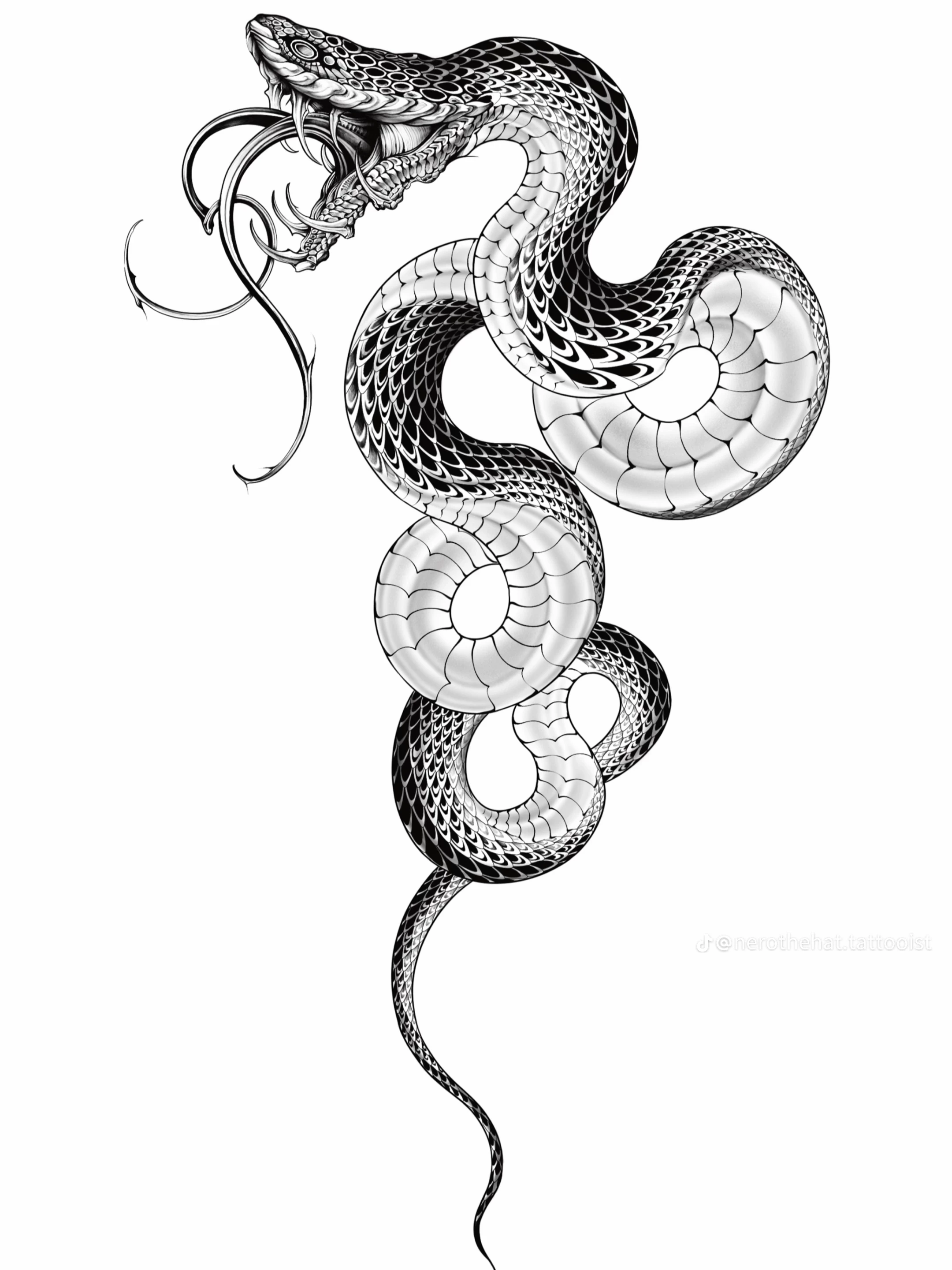 ระวังงูพิษมาเยือน! 🐍