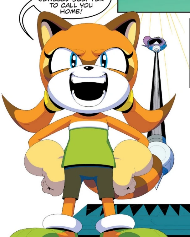 Marine the Racoon