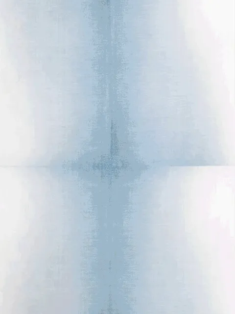 VI 2.0 📌 Daily photo taking 🚩