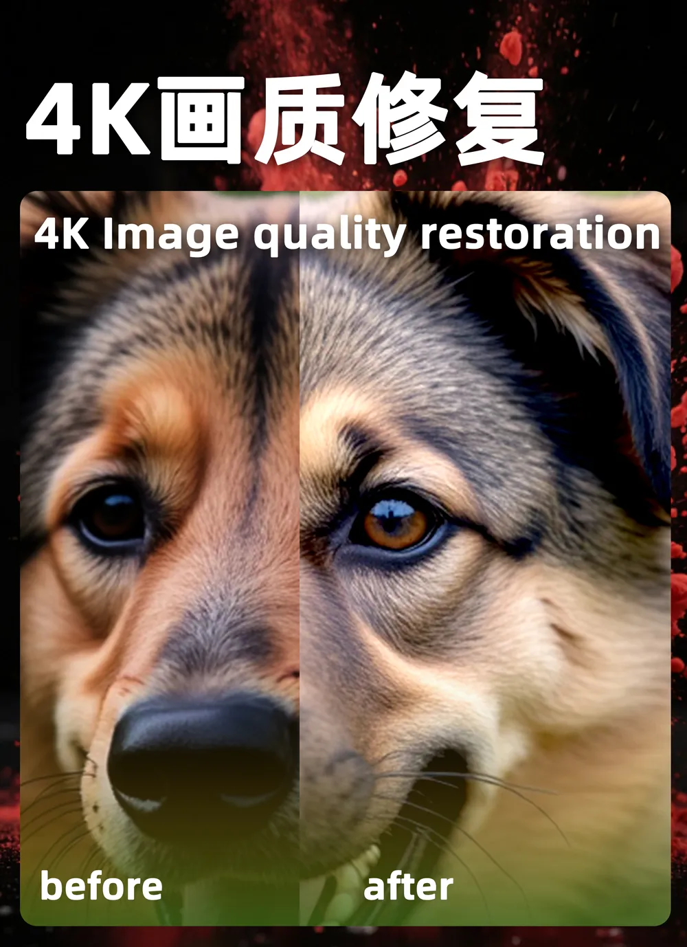 b-画质修复高清修复
