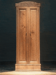 La sorpresa en el armario