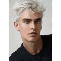 三维羊毛毡快照效果