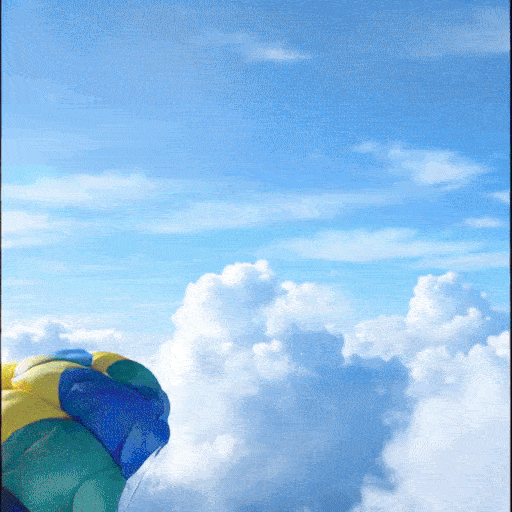 Concurso de paraquedismo de animais