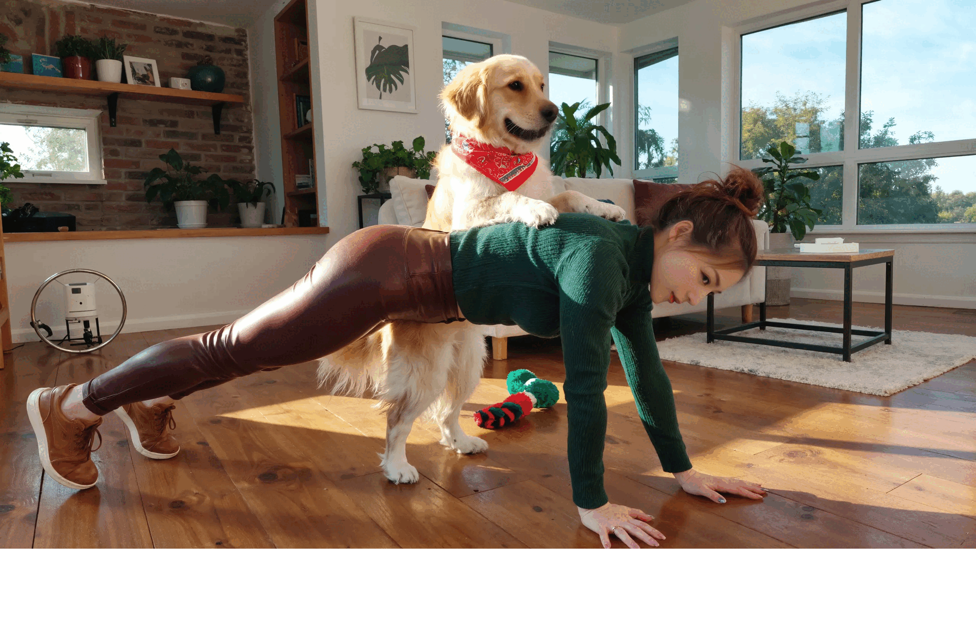 Interagieren Sie auf dem Boden mit Ihrem Haustier