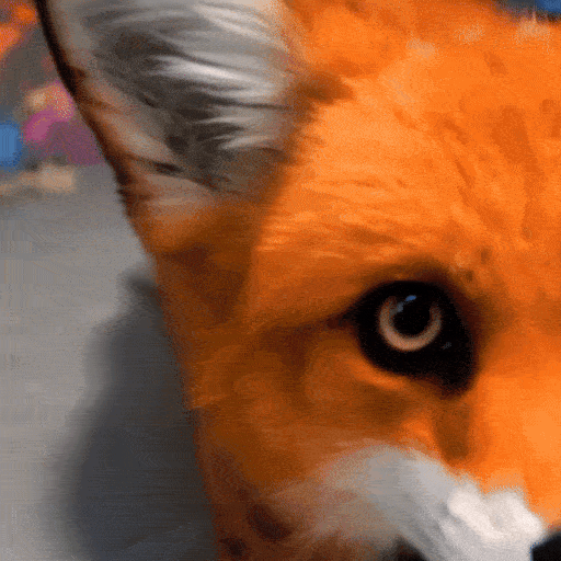 Transformação aleatória de animais