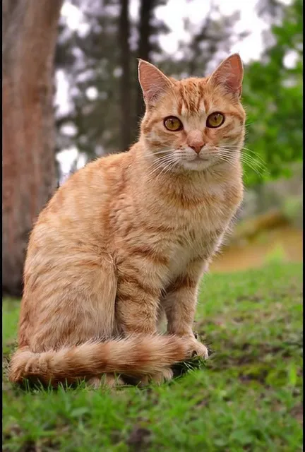 砂になって消えていく