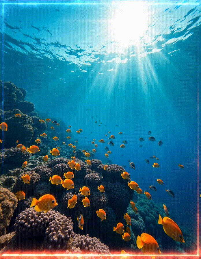 V10s Underwater Fish by iLegal Tech