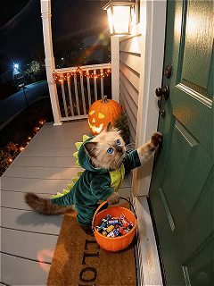 sora-Хэллоуин нужны конфеты