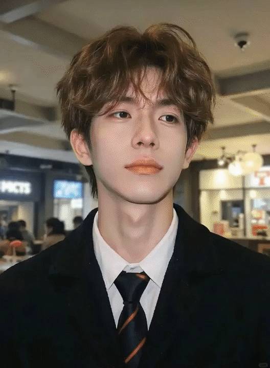 Future mecha transformation