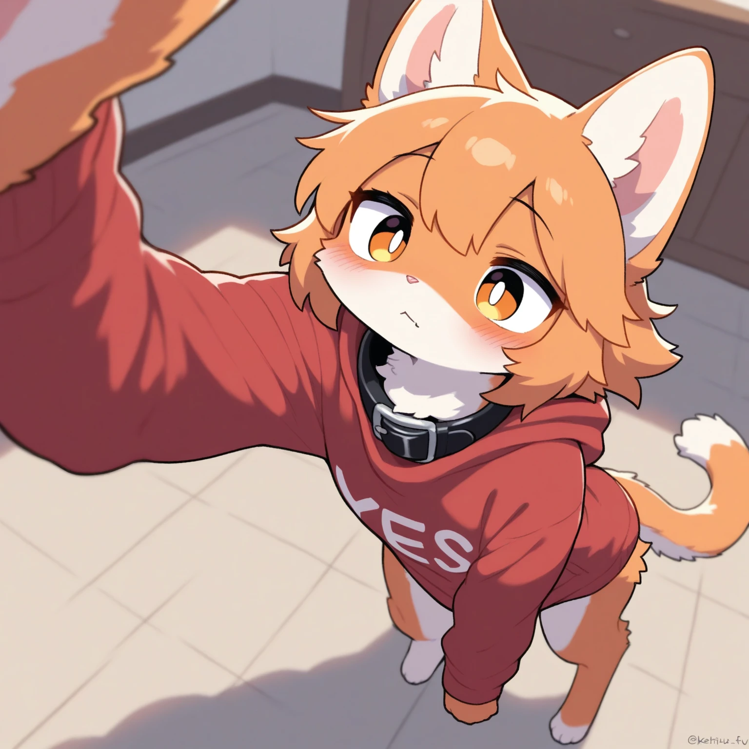 (Orange fur　Fluffy white hair grows on the 　Shiba Inu Beastman　blue eyes　Brown Hair　Orange fur on legs　Furry　Sole of the foot　I'm not even wearing underwearNo　boy　cute　)　hoodie　The face has orange and white fur　I am on a train　Mischievous smile　A little naughty
抱きつく