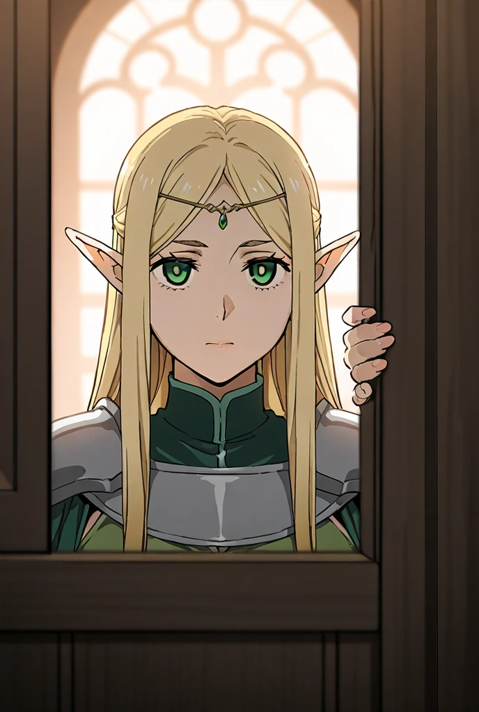 Elf girl. leather brown armor. green raincoat. blonde hair. Blue eyes. gloomy face. nose shadow. against the background of the forest and the sky.
