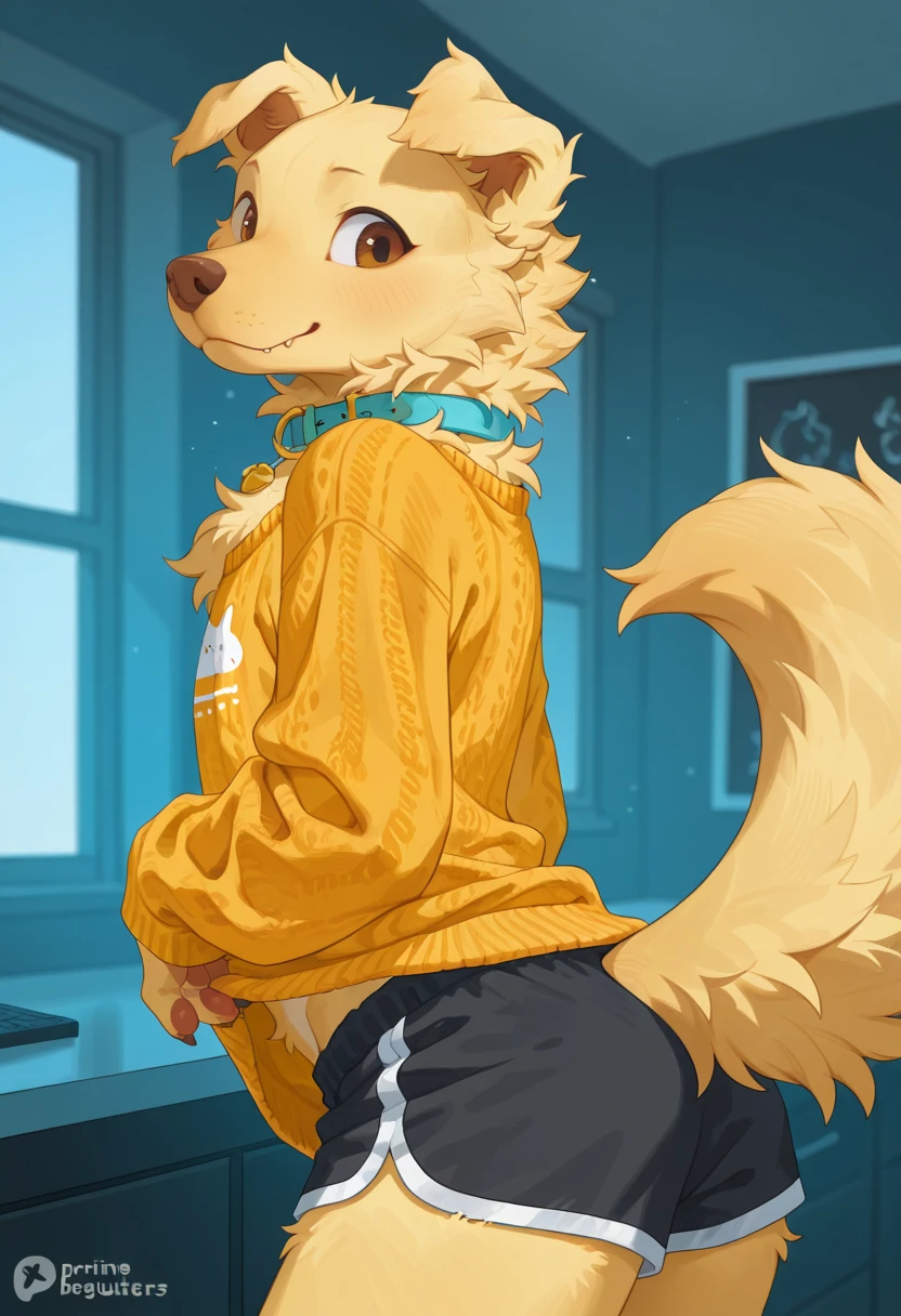 dynamic angle, innocent boy, naivety, light green eyes, , baby boy, lion boy, boys love, love ,  , dynamic, short statue, mascot size boys、classroom