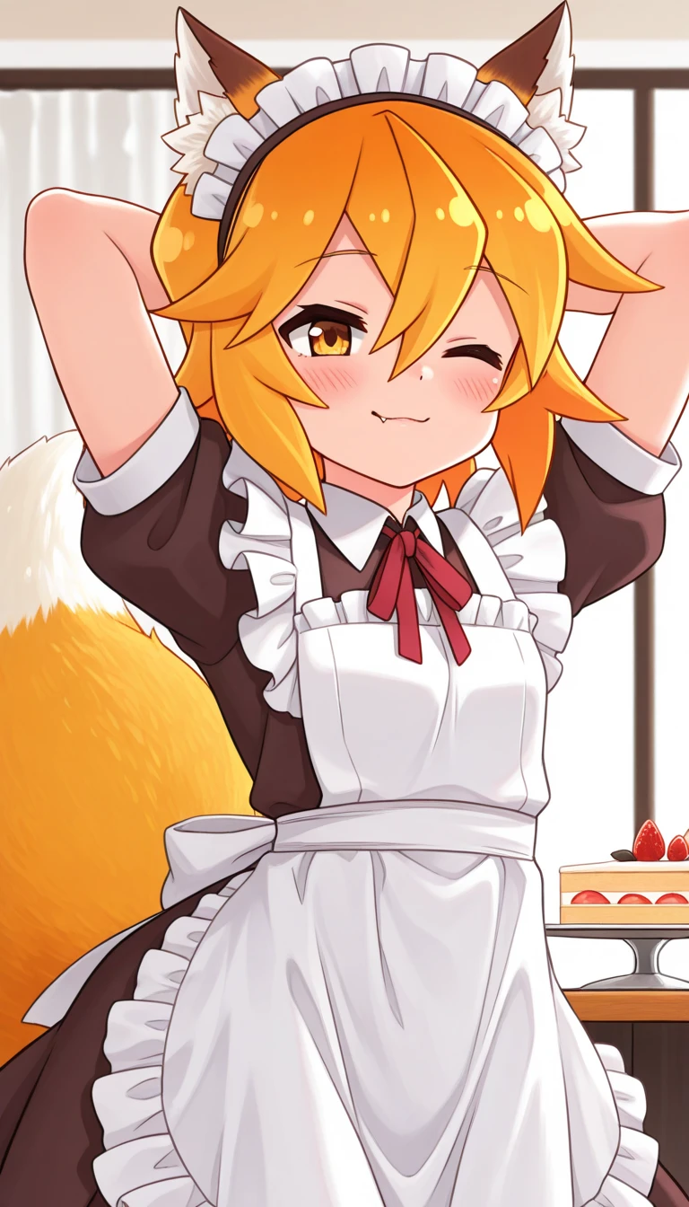 A male Wolf hybrid cat with Orange fur with blue colour eyes, wear maid clothes and he begging to stop with tail being hold tight and pull by hand, body trembling and Satisfied with small  are have  in public 