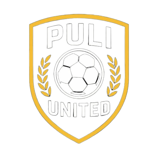 Logo do Puli