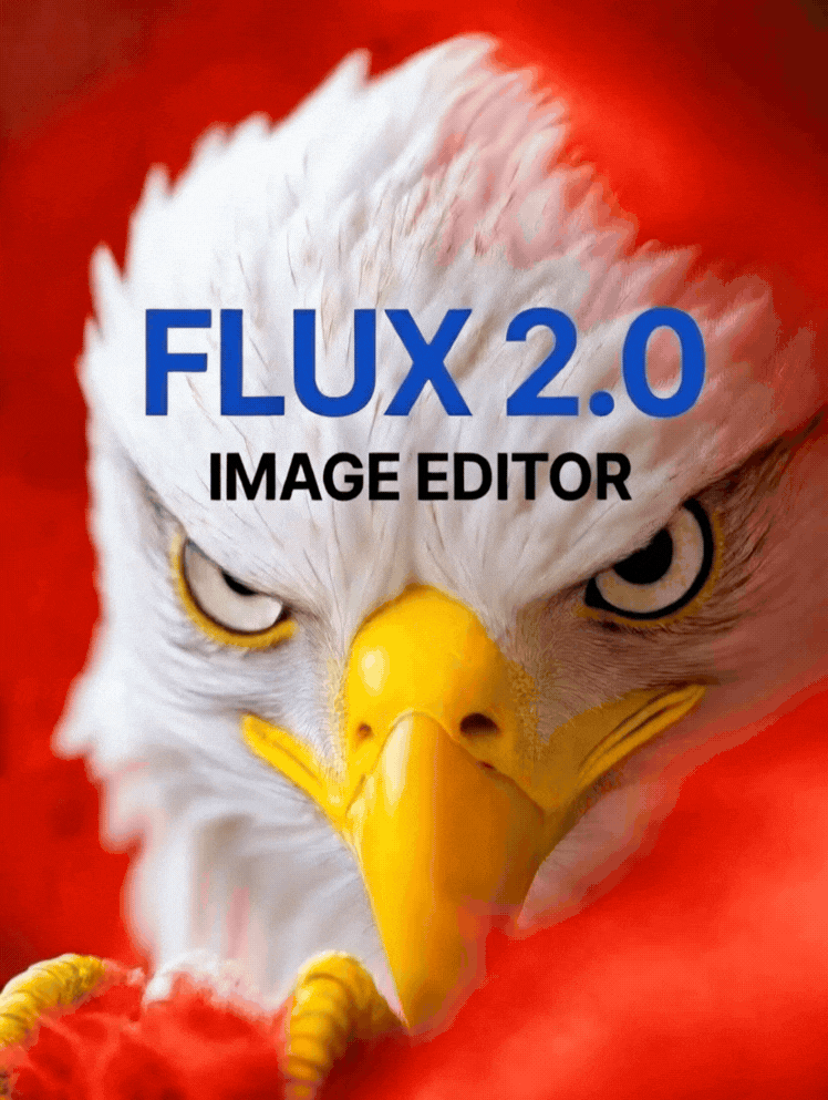 HaiYi FLUX 2.0 - Image Editor - High Resolution - HaiYiFLUX20