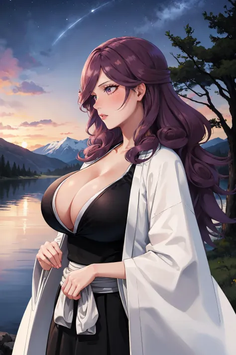 masterpiece, best quality, 1girl,  <lora:kirio-nvwls-v1-000009:0.9> hikifune kirio, purple hair, white coat, black robes, cleavage, hakama, large breasts, night sky, profile, trees, lake, mountains