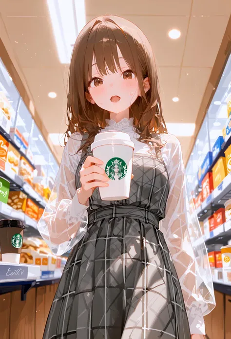 score_9, score_8_up, score_7_up, best quality, source_anime BREAK, 1girl, disposable cup, 1boy, holding cup, blush, open mouth, convenience store, indoors, brown eyes, plaid dress, ceiling light, shop, looking at viewer, brown hair, coffee cup, long sleeves, sweatdrop, long hair, blurry, from below, solo focus, grey dress, see-through sleeves, shirt, depth of field