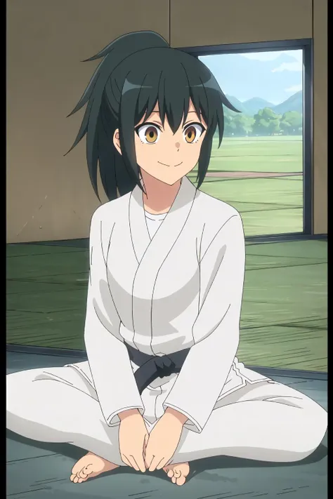 ,((best quality)),((highly detailed)),masterpiece,absurdres,detailed face,beautiful face,(detailed eyes, deep eyes),(1girl),((dynamic pose)), <lora:OriharaV1.3:0.7>,Orihara, dougi, solo, 1girl, sitting, barefoot, brown eyes,yellow eyes, smile, black hair, ponytail, tatami, indian style, indoors, belt, closed mouth, short hair, black belt, scenery