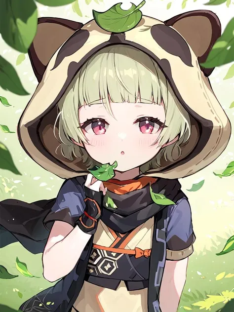 ultra-detailed,(best quality),((masterpiece)),(highres),original,extremely,<lora:zaoyoux_xl:1>,(\zao you\),1girl,solo,bangs,animal hood, raccoon ears, leaf on head, black scarf, short sleeves, ninja, scarf