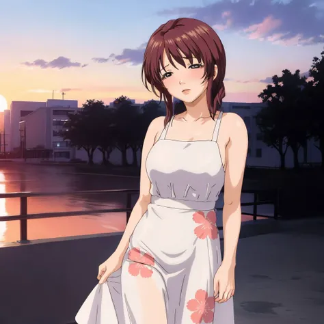 aoki_hinako, floral dress, park, sunset  <lora:aoki_hinako_v1:0.8>, masterpiece, best quality