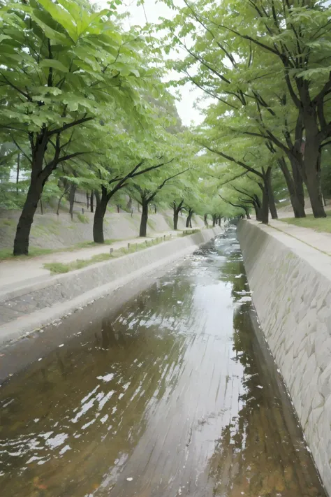 masterpiece, best quality, ultra-detailed, illustration,masterpiece, best quality, very aesthetic, absurdres,
syukugawa, scenery, outdoors, water, traditional media, tree, day, real world location, realistic, realistic, photo (medium), photo background
<lora:syukugawa_SD15_V1:1>
