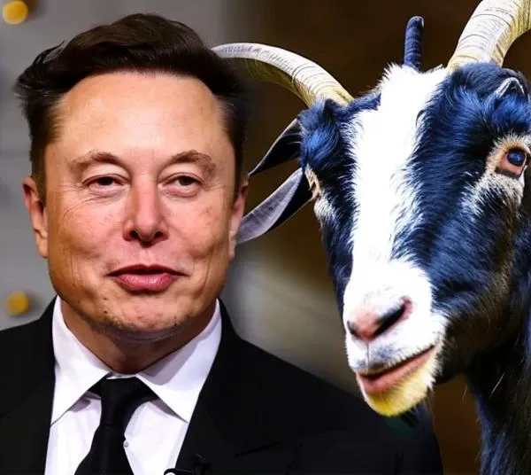 elonmusk person playing with a goat, (he is a goat-watcher:1.4). [endprompt] "Are you here to look for a child?" [newline] "Yes, son." [newline] "What?" [newline] "A goat, No, a goat, I was just looking for a way out of poverty." [newline] "That sounds good?" [newline] "No, son, it does, We've been able to get out of that for quite a while." [newline] "What