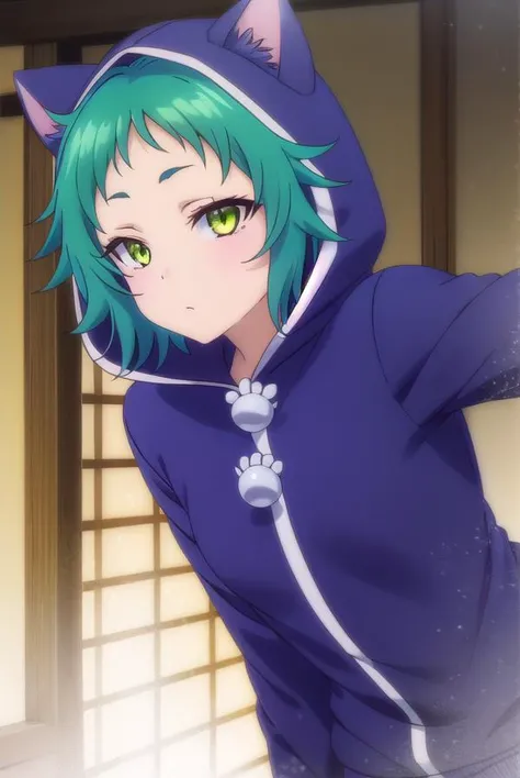 yayafushiguro, <lora:yaya fushiguro s1-lora-nochekaiser:1>,
yaya fushiguro, short hair, (green eyes:1.3), green hair,
BREAK long sleeves, hood, hoodie, animal hood, track suit, cat hood,
BREAK outdoors, onsen, hot spring,
BREAK looking at viewer, (cowboy shot:1.5),
BREAK <lyco:GoodHands-beta2:1>, (masterpiece:1.2), best quality, high resolution, unity 8k wallpaper, (illustration:0.8), (beautiful detailed eyes:1.6), extremely detailed face, perfect lighting, extremely detailed CG, (perfect hands, perfect anatomy),
