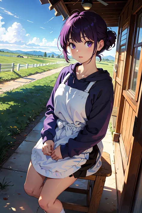 1girl, purple hair, very short hair, half updo hair, bangs, hooded sweatshirt waist apron loafers, decadent countryside daytime, close to viewer