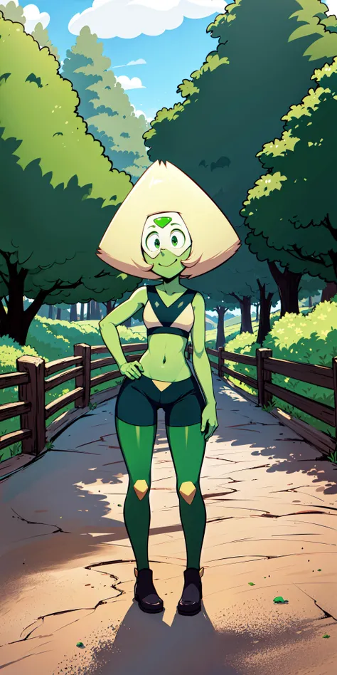 1girl, masterpiece, (detailed background), best quality, absurdres, full body,
forest, meadow, trees, blueberry bushes, wildflowers, dirt pathway, wooden fence,
looking at viewer, full body, green hair, green skin, forehead jewel, short hair, navel, green eyes, smile, green thighhighs, pants, peridot(su),
<lora:Peridot(SU):1>
