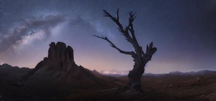 milky way, tree