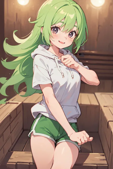 1 girl, best quality, amazing intricate, round eyes, happy, smile, medium breast, 
light green hair, long hair, , , 
Close Up, upper body, toe-point, 
neon pastel hoodie, desaturated lowleg shorts, 
in a sauna