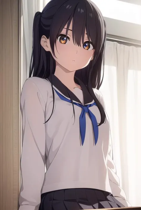 ruriichigyou, <lora:ruri ichigyou movie-lora-nochekaiser:1>,
ruri ichigyou, long hair, (black hair:1.5), hair between eyes, (brown eyes:1.2), two side up,
BREAK skirt, school uniform, pleated skirt, serafuku, black skirt, long sleeves,
BREAK indoors, classroom,
BREAK looking at viewer, (cowboy shot:1.5),
BREAK <lyco:GoodHands-beta2:1>, (masterpiece:1.2), best quality, high resolution, unity 8k wallpaper, (illustration:0.8), (beautiful detailed eyes:1.6), extremely detailed face, perfect lighting, extremely detailed CG, (perfect hands, perfect anatomy),