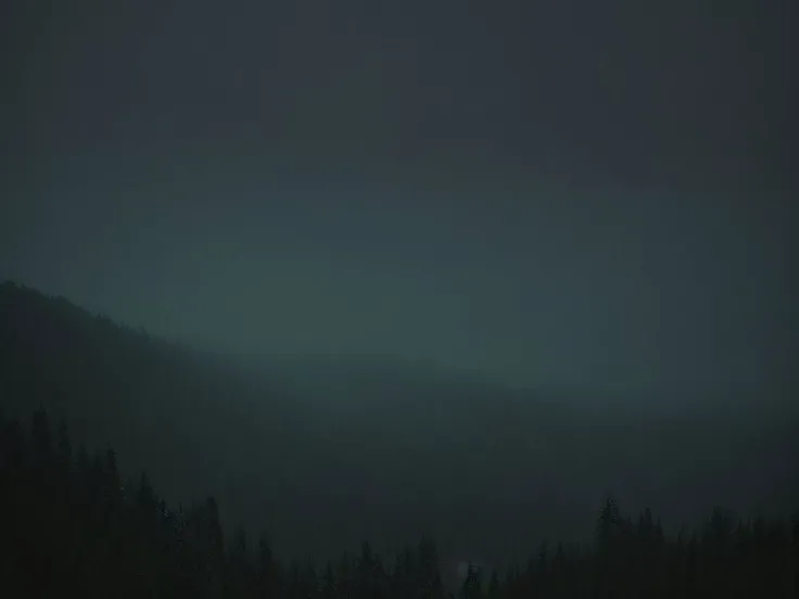a (rainy:1.3) forest, (mysterious place:1.3), dark (skyes:1.3), detailed sky, shot from hill, ((long shot:1.2):0.6), intricate detailed, (dark armosphere:1.3), (dark:1.4), detailed, intricate, night, (muted colors:1.4), hdr, art, artstation