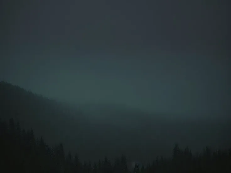 a (rainy:1.3) forest, (mysterious place:1.3), dark (skyes:1.3), detailed sky, shot from hill, ((long shot:1.2):0.6), intricate detailed, (dark armosphere:1.3), (dark:1.4), detailed, intricate, night, (muted colors:1.4), hdr, art, artstation