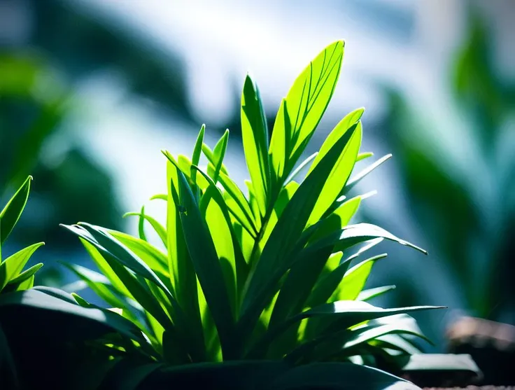 <lora:dooli_yiu_v10:0.8>, a close up of a plant with green leaves,
cinematic light, cold tempreture shot, blue color spectrum grading, vignette, epic light, fade, slate gray