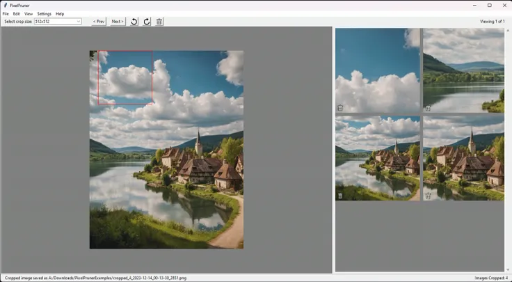 Create multiple crops from the same input image, and manage them from the Crop Preview pane.