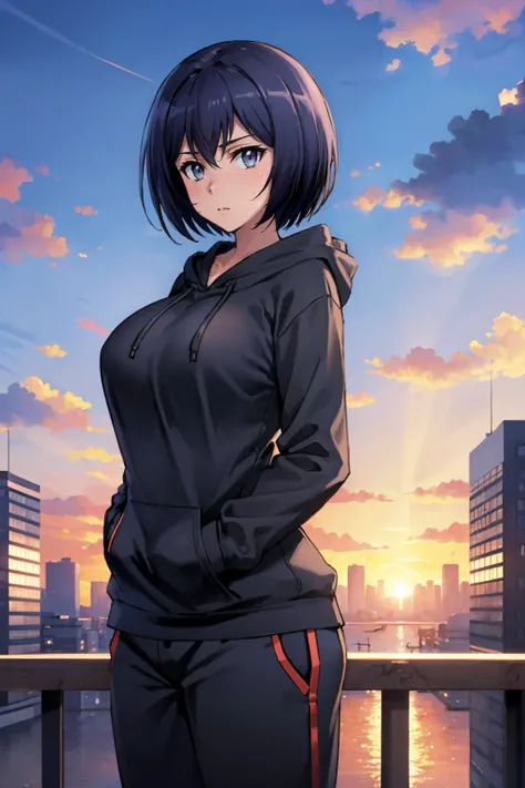 masterpiece, best quality,  <lora:sakurada-nvwls-v1-000009:0.9> sakurada, grey hoodie, large breasts, black sweatpants, sky, sunset, cityscape, looking at viewer