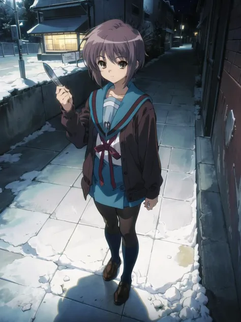 <lora:kyoani_haruhi_style_offset:1> ,kyoani haruhi style, 1girl, solo, yuki nagato, kita high school uniform, short hair, school uniform, blue sailor collar, sailor collar, serafuku, cardigan, purple hair, bangs, brown eyes, anime coloring, ((masterpiece)),  <lora:nagato_yuki_v10:0.65> , <lora:Velvia1:0.15> ,NIGHT, pavement, HOLDING KNIFE, FRUIT KNIFE, snowing, snow,