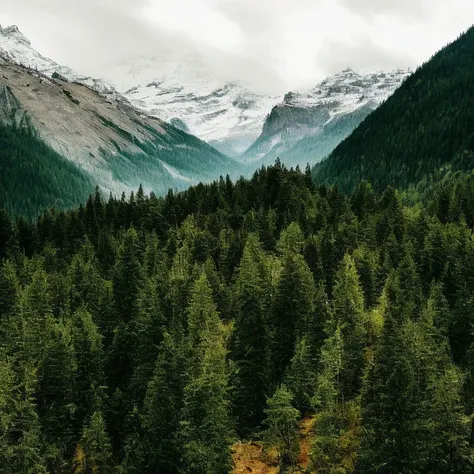 <lora:naturepron_nolabels:1.0>, naturepron, photorealistic, highly detailed, sharp, 8k