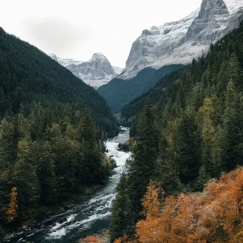 <lora:naturepron_nolabels:1.0>, naturepron, photorealistic, highly detailed, sharp, 8k