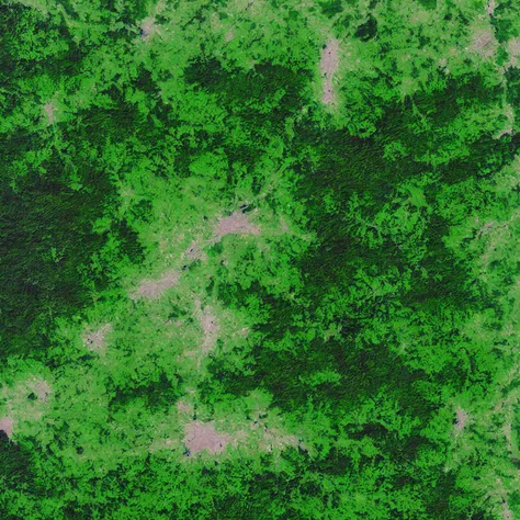 MapSatimageEU, forest