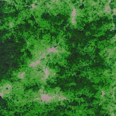 MapSatimageEU, forest