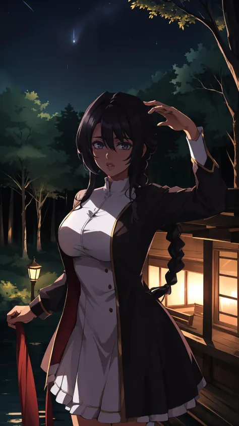 1girl, black hair, braid, dress, long hair, long sleeves, looking at viewer, solo, standing, white dress
masterpiece, best quality, anime screencap,  
architecture, bare tree, branch, building, forest, nature, night, night sky,  outdoors, scenery, tree, water, dim lighting
 <lora:backlight_slider_v10:-2> <lora:Raiou_Style:0.5> big lips, thick lips,