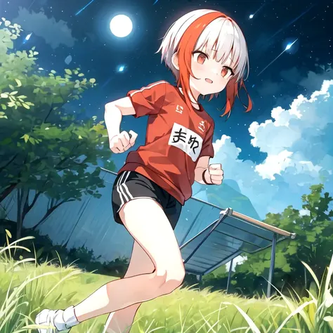 sfw, 1girl, solo, sumi \(monobeno\), flat chest, two-tone hair, red eyes, blunt bangs, (running:1.2), from side, dutch angle, :3, jitome, short hair, beautiful detailed eyes, <lora:SumiMonobeno:0.65>,
BREAK,
(gym clothes, shorts:1.3), outdoors, path, mountain, (night, night sky, cloudy sky:1.5), masterpiece, best quality,