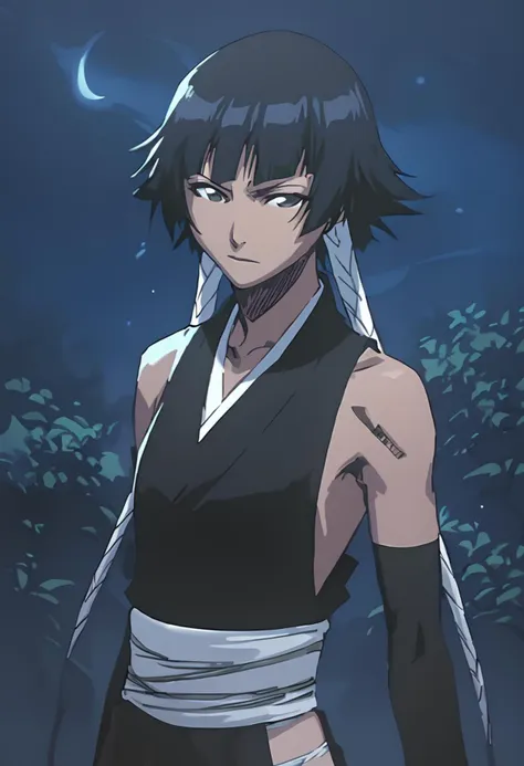 score_9, score_8_up, score_7_up, sui-feng, upper body, sleeveless, black kimono, detached sleeves, white sash, night, black shadows, moonlight <lora:Soi_Fon:0.95>