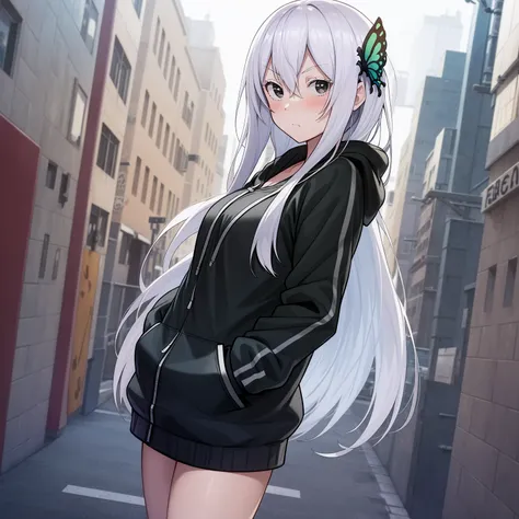 masterpiece,best quality,anime,2d,detailed eyes,
<lora:EchidnaNAI:0.9>
1girl, solo, butterfly hair ornament, hands in pockets, hair between eyes,very long hair, looking at viewer, city, white hair,hood down, bangs, standing, long sleeves, jacket, hoodie, blush, shirt,upper body, black eyes,colored eyelashes, white eyelashes,white eyebrows,