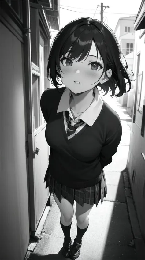 (ultra detailed,ultra high res),((detailed background)),sunlight,distant,chiaroscuro,street,alley,greyscale,BREAK
1girl,looking up,solo focus,school uniform,BREAK