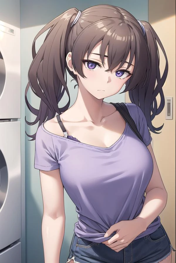 laundrygirl, <lora:laundrygirl-lora-nochekaiser:1>,
laundry girl, twintails, bangs, hair between eyes, brown hair, (purple eyes:1.1),
BREAK shirt, collarbone, bra strap, shorts, short sleeves,
BREAK indoors,
BREAK looking at viewer, (cowboy shot:1.5),
BREAK <lyco:GoodHands-beta2:1>, (masterpiece:1.2), best quality, high resolution, unity 8k wallpaper, (illustration:0.8), (beautiful detailed eyes:1.6), extremely detailed face, perfect lighting, extremely detailed CG, (perfect hands, perfect anatomy),