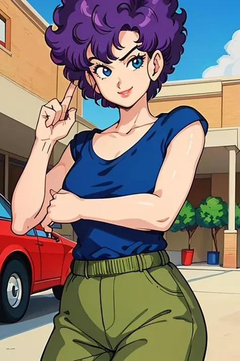 masterpiece, best quality, highest quality, perfect anatomy, perfect face, perfect eyes, (8k, best quality, masterpiece:1.2), outdoors, solo,
<lora:ranfandargonball_smf_lora_02:0.9>, 1girl, rfandball-smf, 1girl, purple hair, solo, short hair, smile, blue eyes, curly hair, lips, retro style, fighting pose, green pants, (blue shirt:1.2)