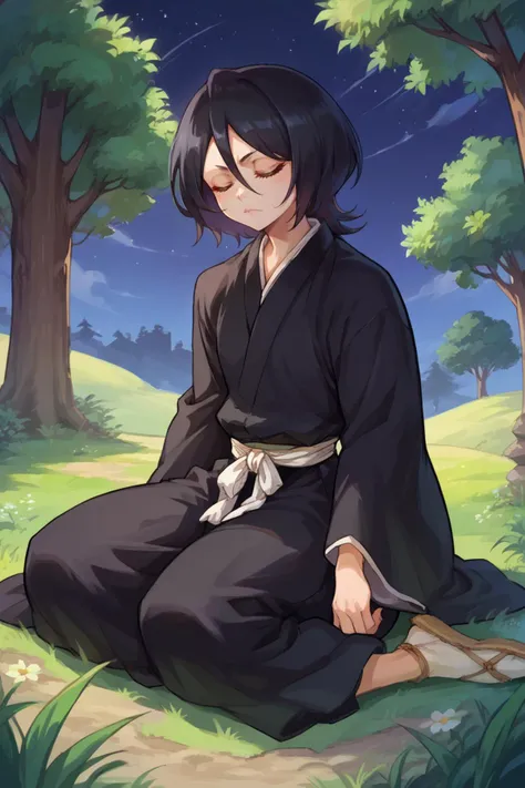 score_9, score_8_up, score_7_up, score_6_up, source_anime BREAK 1girl, solo, <lora:rukia-pdxl-nvwls-v1-000006:1> defrka, black hair, short hair, black robes, sash, wide sleeves, sitting, closed eyes, tree, night, field, sandals